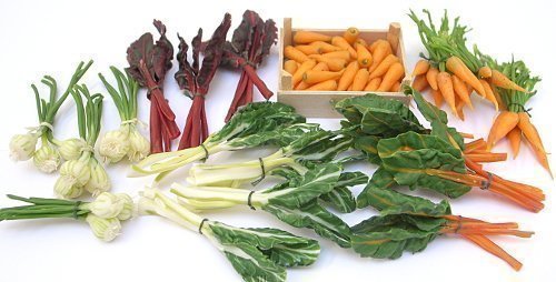 bunches_group_shot_mid (12683_6)