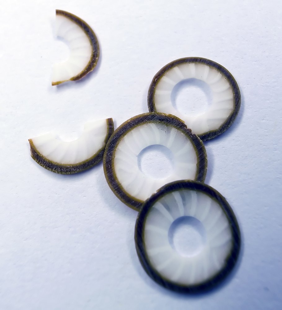 Canes  Fine and Superfine Slices html 6277, Coconut ring MultiCane