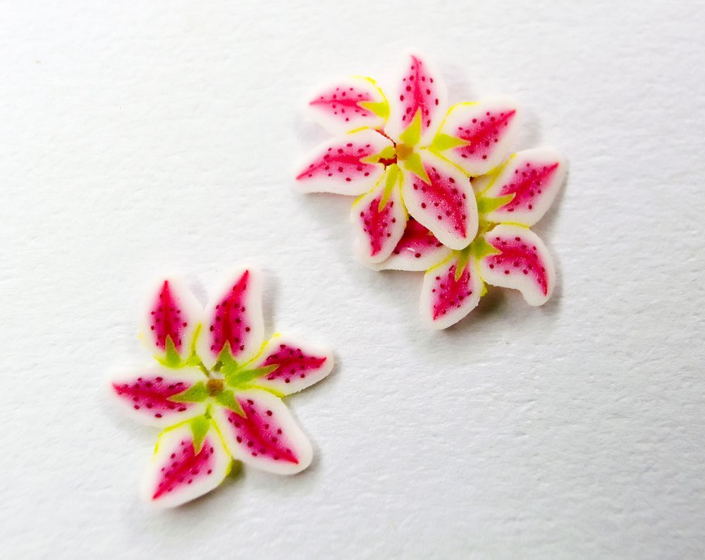 Canes  Fine and Superfine Slices html 6277, Lily pink MultiCane