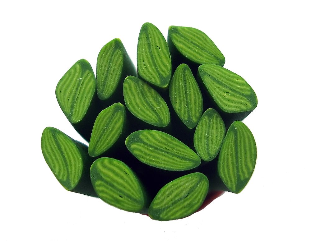 TX Canes  Fine and Superfine Slices html 6277, Orchid Leaf MultiCane