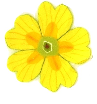 TX Canes  Fine and Superfine Slices Trade html 6277, Spring Primula MultiCane