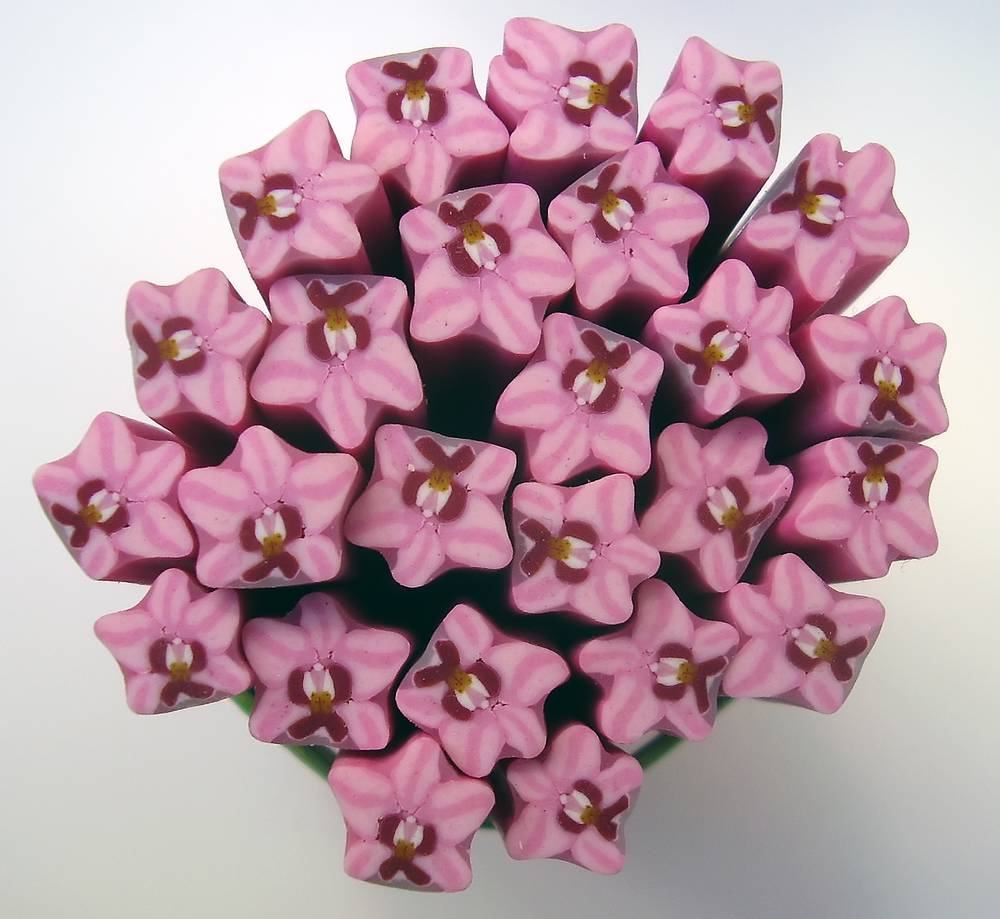 Canes  Fine and Superfine Slices html 6277, orchid simple pink MultiCane