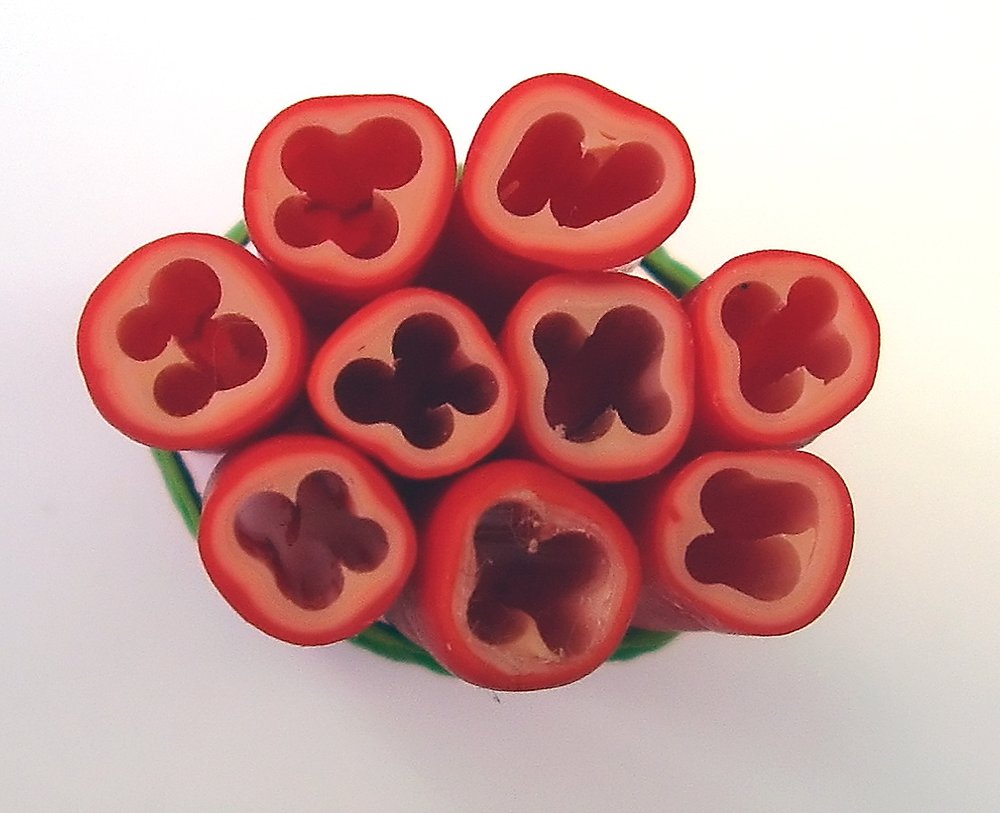 TX Canes  Fine and Superfine Slices html 6277, Peppers , Red MultiCane
