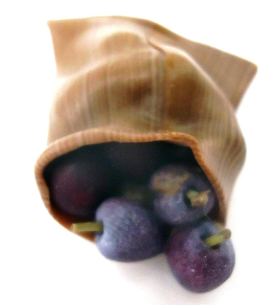 TX Miniatures Market Place Trade html Fruit, Plums, bag