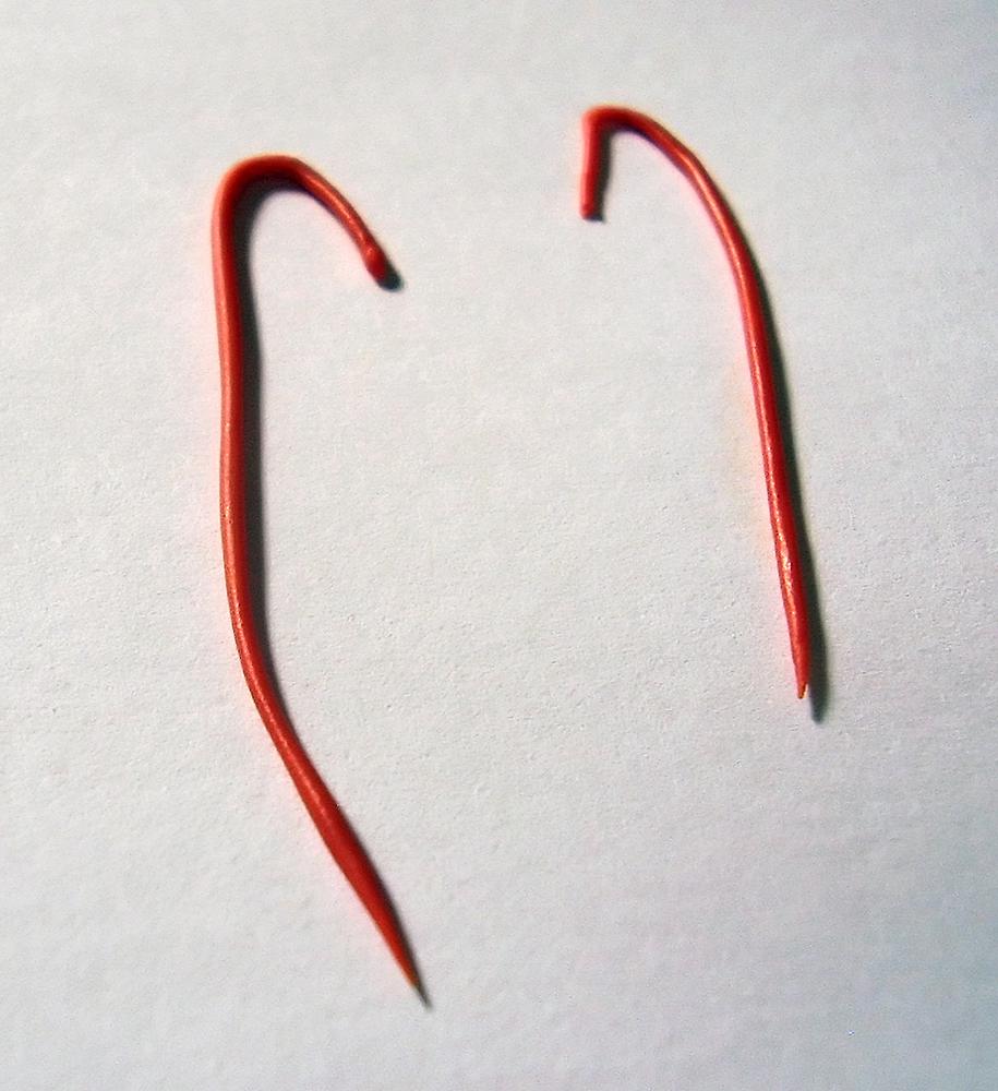 1_whiskers (9759_6)