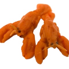Image of Crayfish Mould