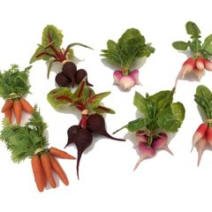 Image of Beets, Turnip, Radish and Carrot Stencil