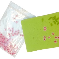 Image of Cherry Blossom Stencils