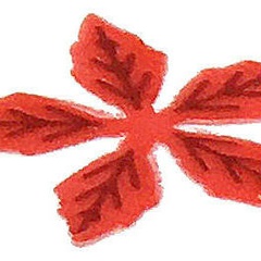 Image of Poinsettia Red spares