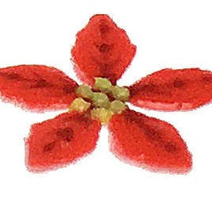 Image of Poinsettia Centre spares