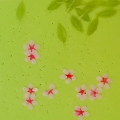 Image of Cherry blossom spares