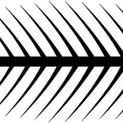 Image of <b>NEW:</b>  Fish Bone Stencil