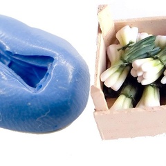 Image of Spring Onions Mould