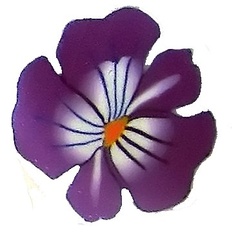 Image of Spring Violet MultiCane
